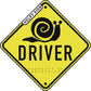 Snail Driver Decal